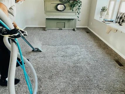 Affordable Carpet Cleaning Edward