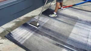 affordable carpet cleaning Ottawa