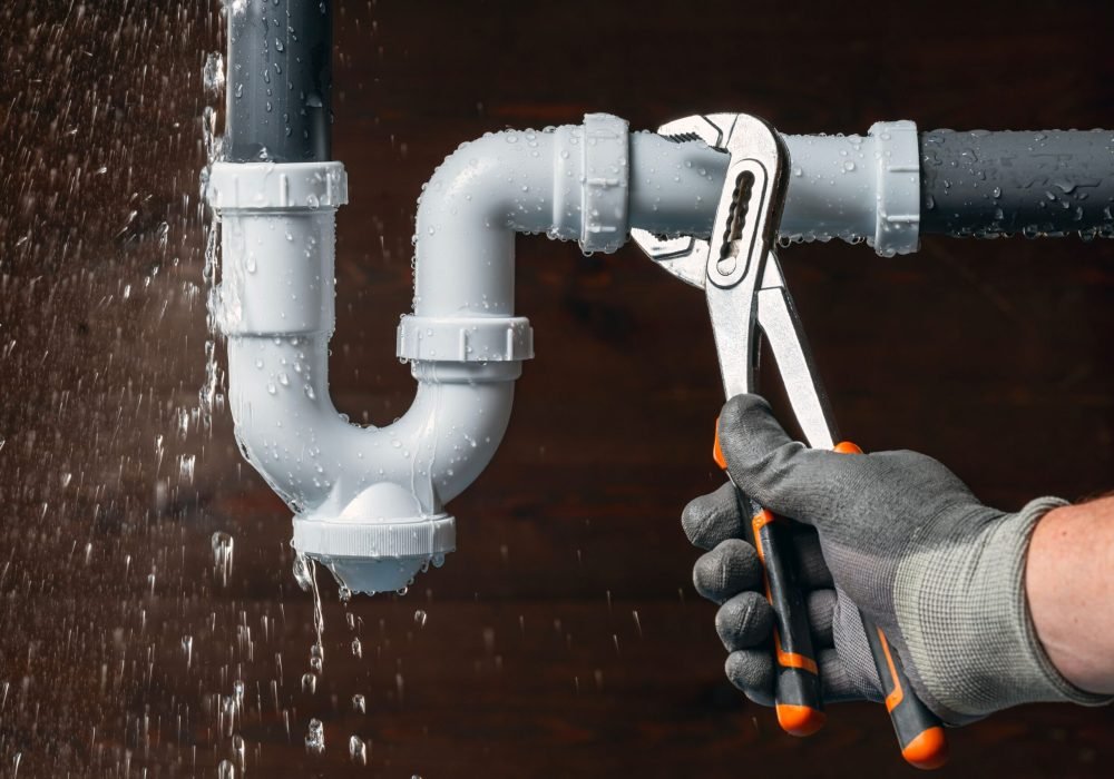 imgi_213_319MRiSajPRWhkWyAp4wrGhY4USCPCy0NDJQOjv3WvDxY5NOx2b1eszPsJVqt0VW