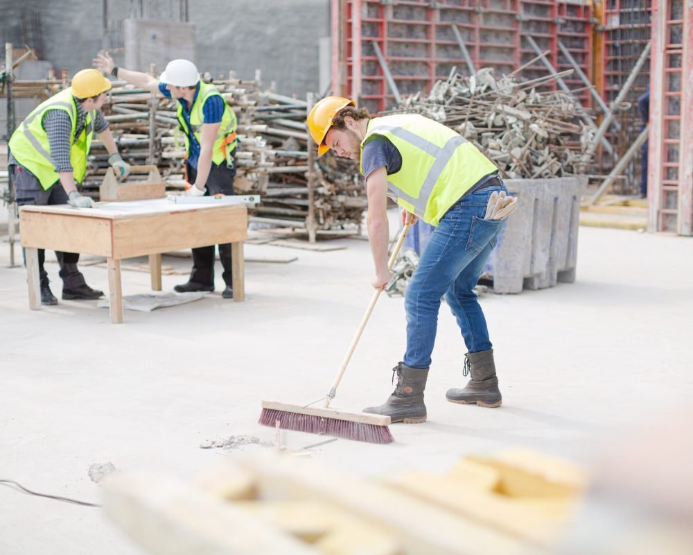 imgi_87_scaffold-4-scaled